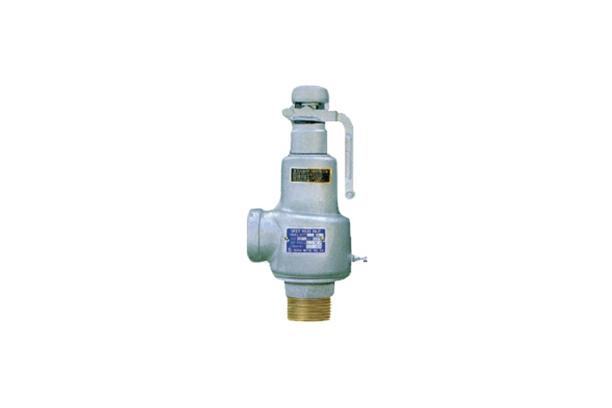 Safety & Relief Value