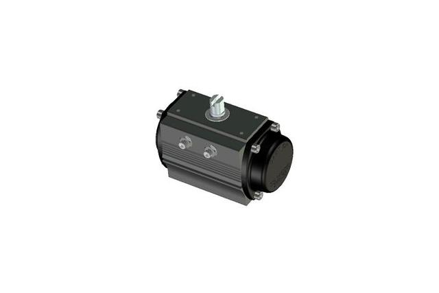 RD/RS (rack pinion)