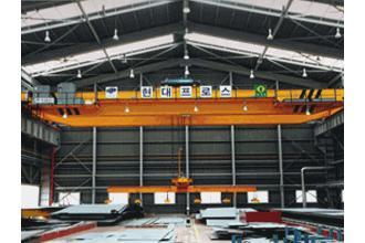 Double girder hoist crane
