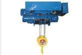 Double lowhead type wire rope hoist