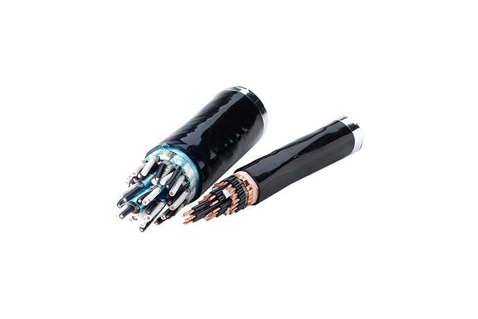 Control/Instrument Cables
