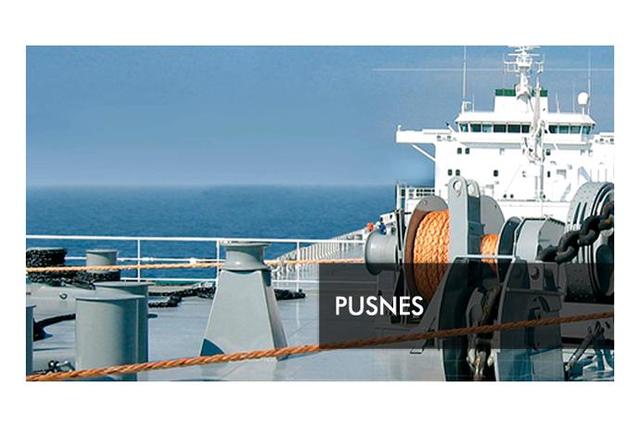 Pusnes