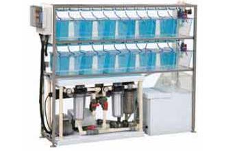 Fish Cage System