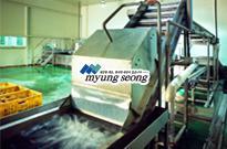 Potato Washing and Peeling System
