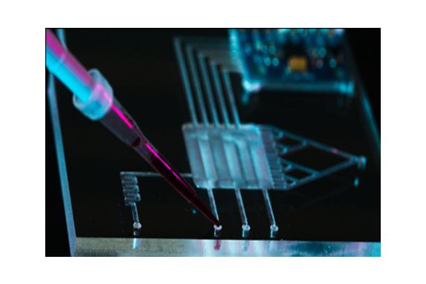 Bio Chip