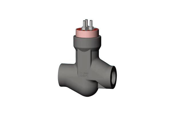 CHECK VALVES