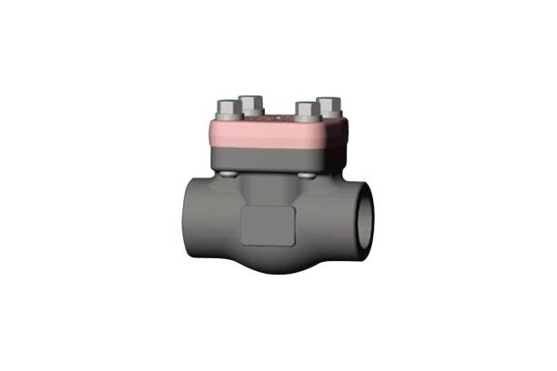 CHECK VALVES