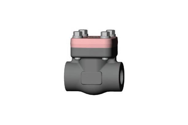 CHECK VALVES
