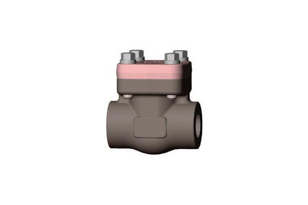 CHECK VALVES