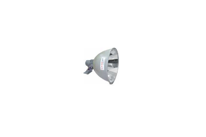 Flood Light