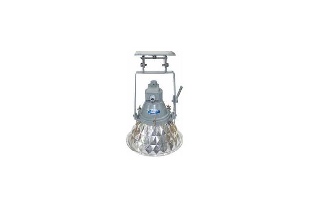 Diamond Crane Light