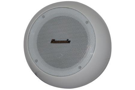 High Power Horn