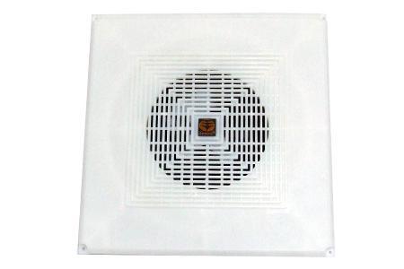 Ceiling & Wall Speaker