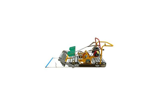 Sowing-in-cluster type Transplanter