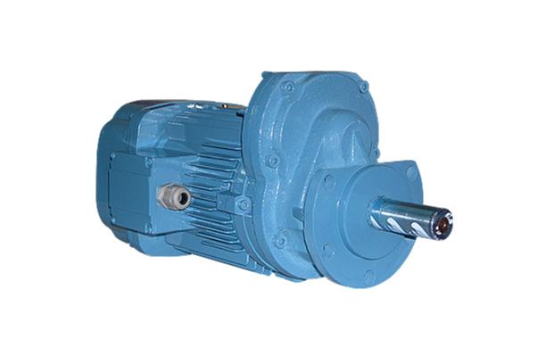 Geared Motor