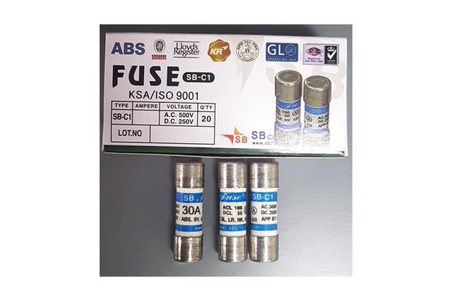 Fuse-link