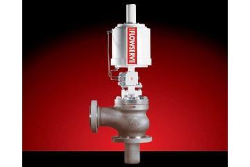 Survivor Control Valve