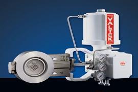 Valtek Valdisk BX Control Valves