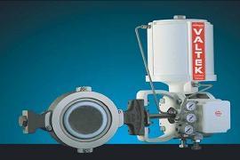 Valtek Valdisk Control Valves