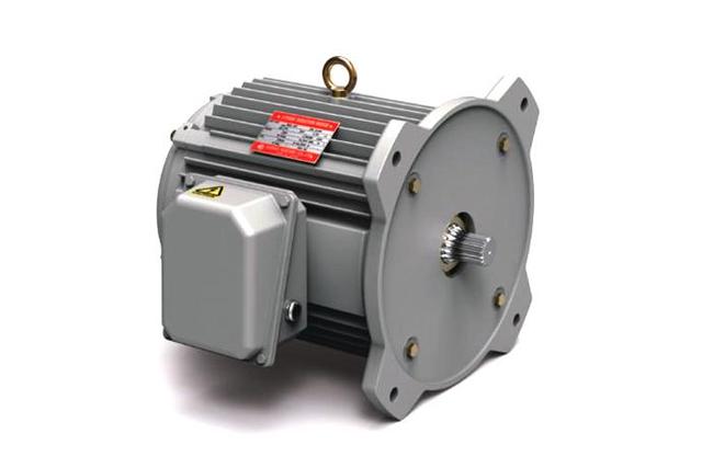 Other Special Motors