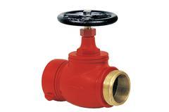Globe Valves