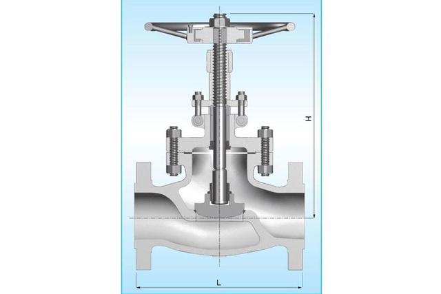 Globe Valve