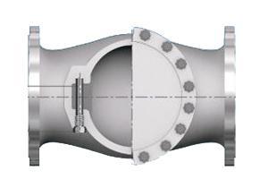 Swing Check Valve
