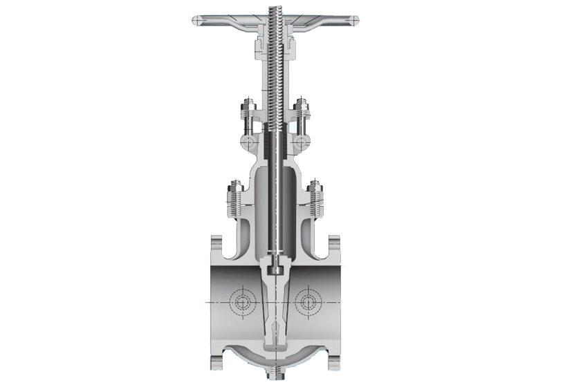 Jacket Gate Valve