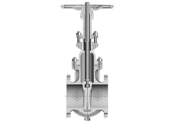 Jacket Gate Valve
