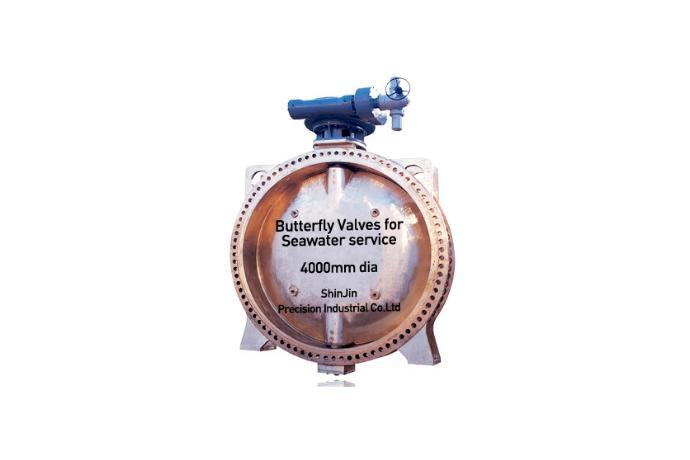 Butterfly Valves for Seawater