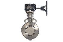 High Performance Butterfly Valve
