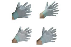 Glove