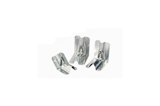 Accessory Membrane