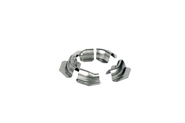 Accessory Membrane