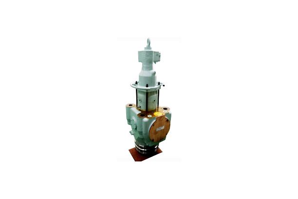Exhaust Valve (Combustion Parts)