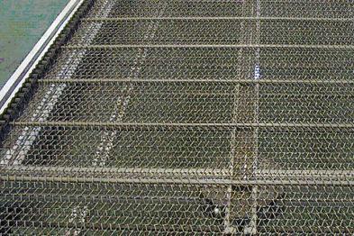 Mesh Belt Conveyor