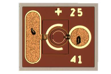 10Gb/s PIN Photodiode Chip