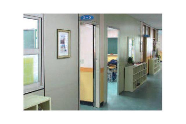 Swing Door / Windows