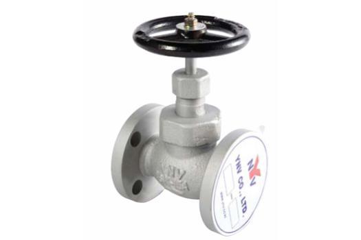 Globe Valve