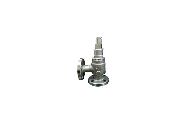 Angle Type PSV for Semiconductor