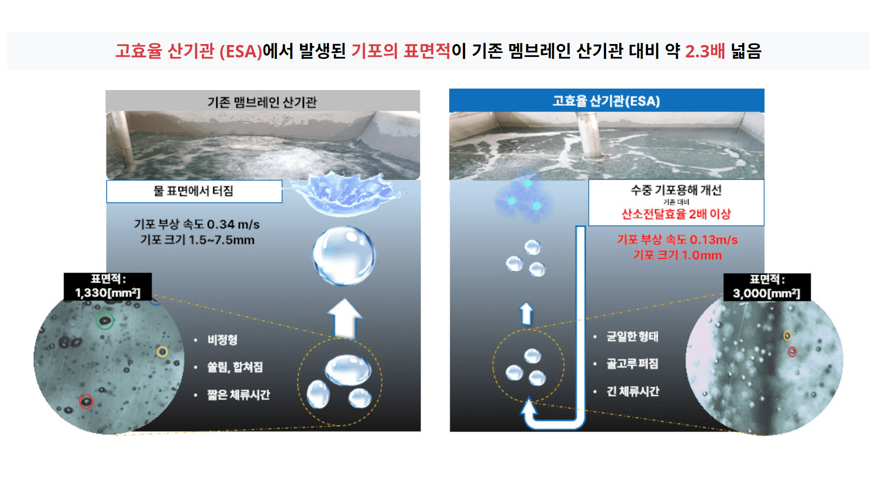 화면 캡처 2024-10-28 114522.png